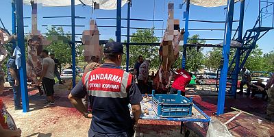 Aksaray Jandarması, çevre kontrolü yaptı