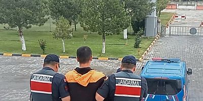 Firari suçlu, Jandarmaya takıldı