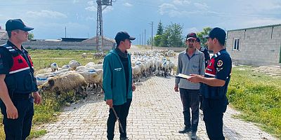 Jandarma, hayvan hırsızlıklarına ve dolandırıcılık olaylarına karşı teyakkuzda