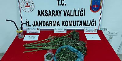 Jandarmadan zehir tacirine operasyon